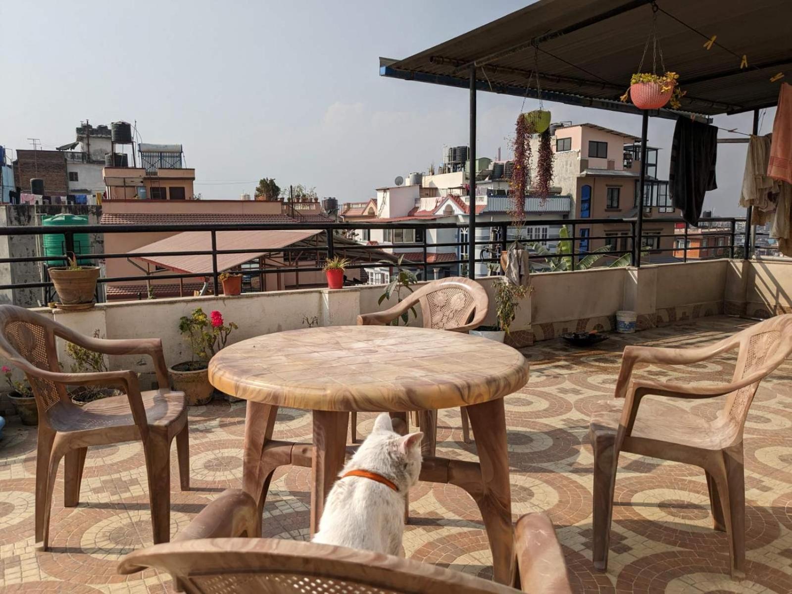 Family Home With Rooftop Access And Mountain View カトマンズ エクステリア 写真