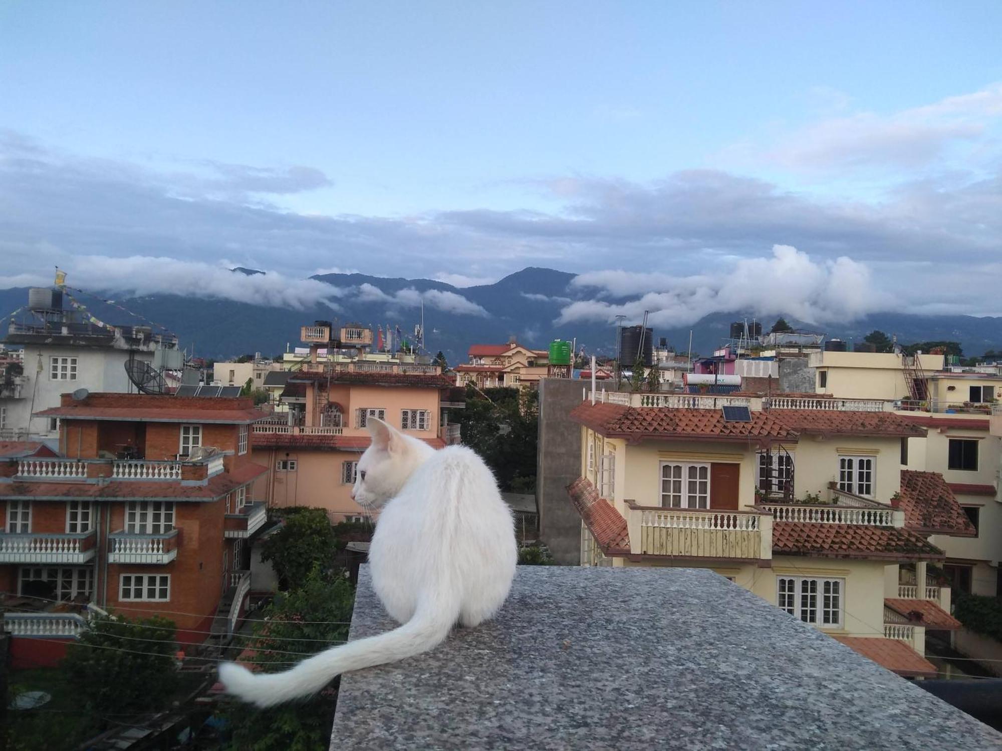 Family Home With Rooftop Access And Mountain View カトマンズ エクステリア 写真